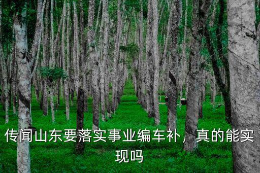河南事業編哪里有車補,傳聞山東要落實事業編車補