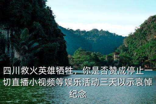 四川救火英雄犧牲，你是否贊成停止一切直播小視頻等娛樂活動三天以示哀悼紀念