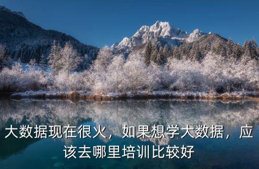 大數據現在很火，如果想學大數據，應該去哪里培訓比較好