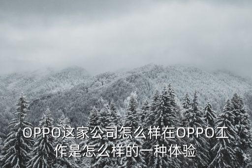 OPPO這家公司怎么樣在OPPO工作是怎么樣的一種體驗(yàn)