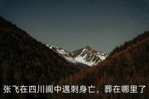 張飛四川哪里有錢,張飛家很有錢嗎