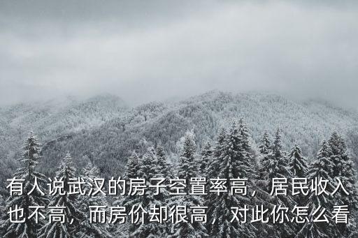 有人說武漢的房子空置率高，居民收入也不高，而房價卻很高，對此你怎么看