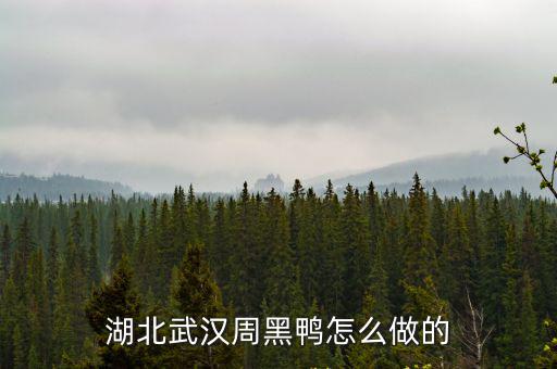 湖北的烤鴨怎么做好吃,湖北武漢周黑鴨怎么做的