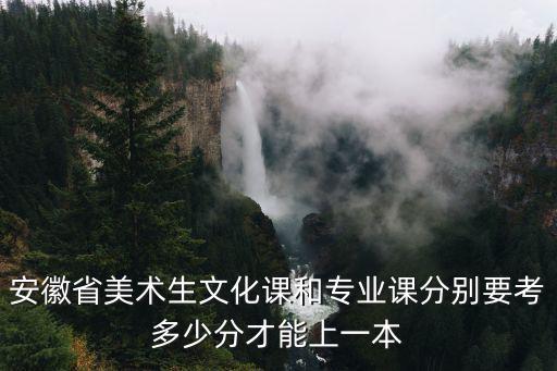安徽美術生藝考多少分才能上大學,安徽美術生省考276分
