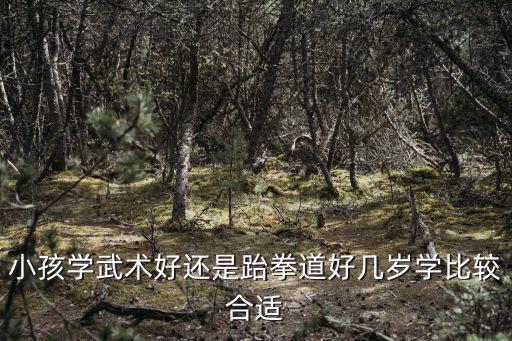 樂山哪里學跆拳道比較好,小孩怎樣學跆拳道比較好