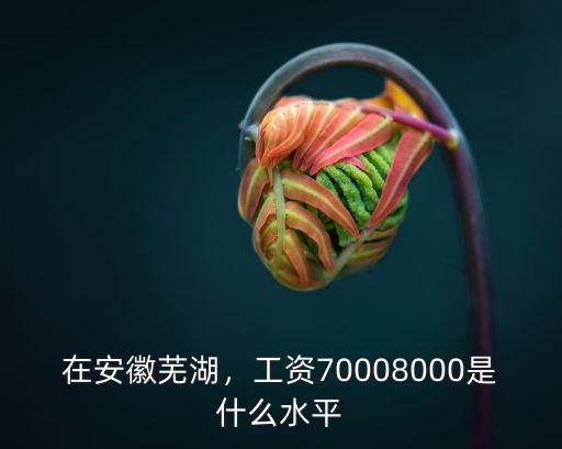 在安徽蕪湖，工資70008000是什么水平
