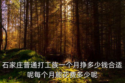 石家莊能掙多少錢啊,在石家莊掙多少錢才能不委屈
