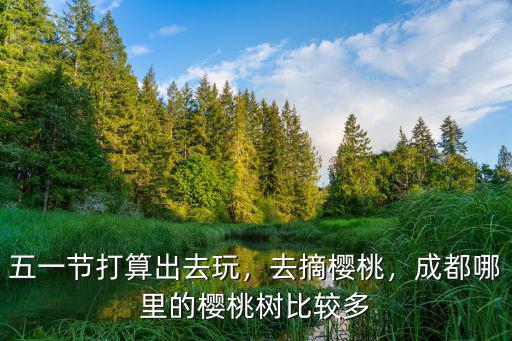 成都哪里可以收購(gòu)櫻桃,成都哪里的櫻桃樹(shù)比較多