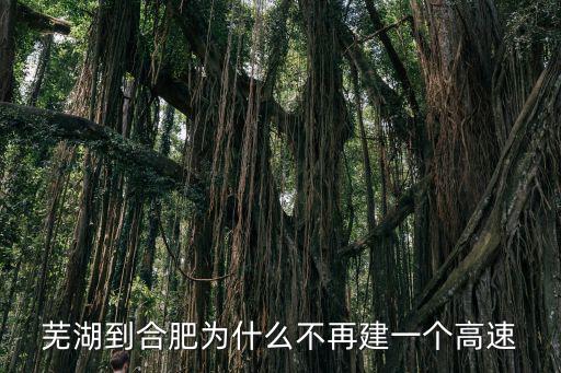 合肥到蕪湖高鐵通車后價(jià)格多少,蕪湖到合肥為何沒有高鐵