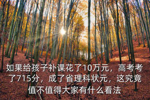 河北成考大家都考了多少分,高考考了715分