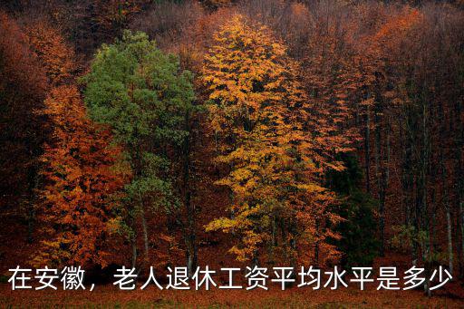 在安徽，老人退休工資平均水平是多少