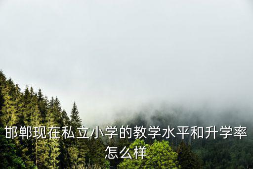 邯鄲現在私立小學的教學水平和升學率怎么樣