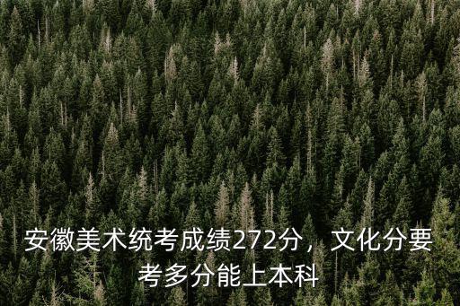 安徽美術統考成績272分，文化分要考多分能上本科