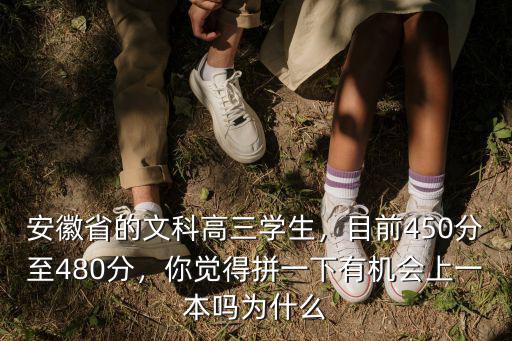 安徽文科考生有多少人能上一本,你覺得拼一下有機會上一本嗎