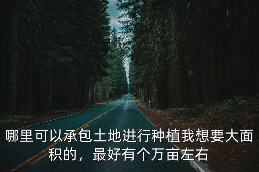 哪里可以承包土地進行種植我想要大面積的，最好有個萬畝左右