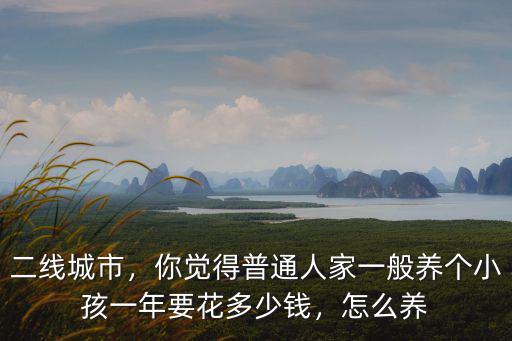 二線城市，你覺得普通人家一般養個小孩一年要花多少錢，怎么養
