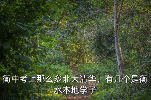 衡中考上那么多北大清華，有幾個是衡水本地學子