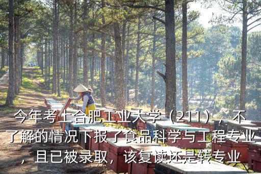 合肥工業(yè)大學(xué)有多少個專業(yè),合肥工業(yè)大學(xué)是高水平大學(xué)嗎