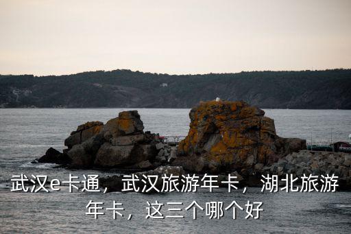武漢e卡通，武漢旅游年卡，湖北旅游年卡，這三個哪個好
