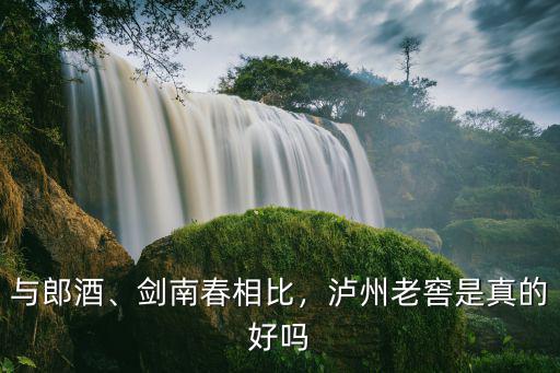 瀘州老窖起源于哪里,瀘州老窖和五糧液