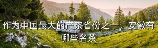 作為中國(guó)最大的產(chǎn)茶省份之一，安徽有哪些名茶