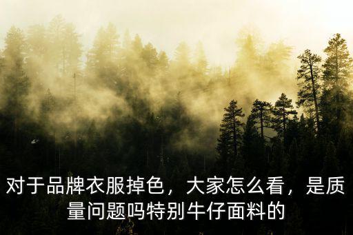 對于品牌衣服掉色，大家怎么看，是質量問題嗎特別牛仔面料的