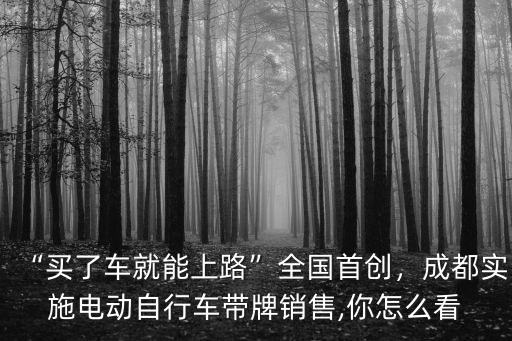 成都市哪里買電動自行車,買了車就能上路全國首創