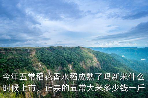 安徽五常香米多少錢,正宗的五常大米多少錢一斤