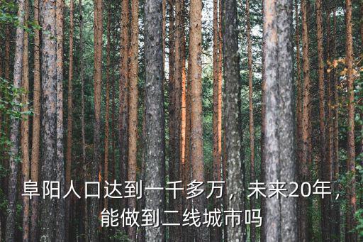 阜陽人口達(dá)到一千多萬，未來20年，能做到二線城市嗎