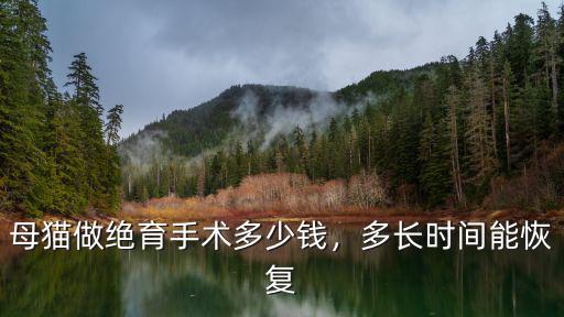 母貓做絕育手術多少錢，多長時間能恢復