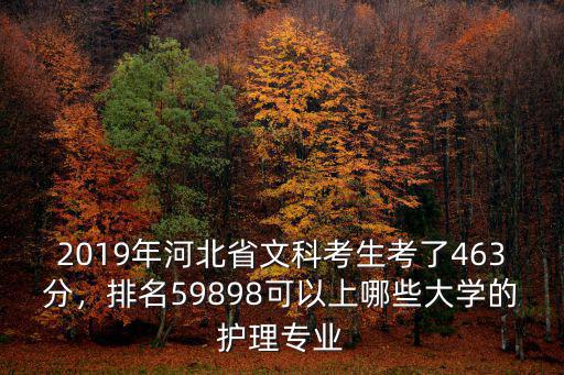2019年河北省文科考生考了463分，排名59898可以上哪些大學的護理專業