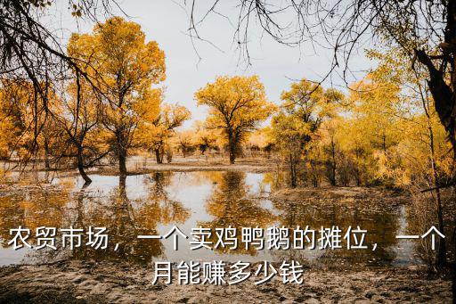 邢臺(tái)菜市場(chǎng)攤位一個(gè)月多少錢,一個(gè)月能賺多少錢