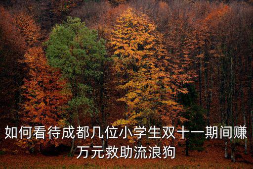 如何看待成都幾位小學生雙十一期間賺萬元救助流浪狗