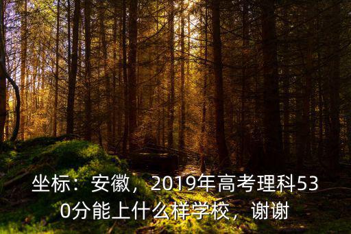 坐標：安徽，2019年高考理科530分能上什么樣學校，謝謝