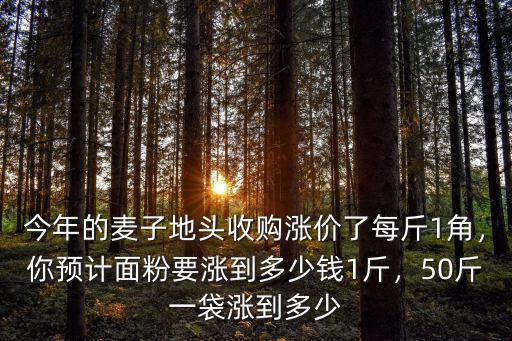河北一斤白面多少錢,今年夏糧小麥多少錢一斤