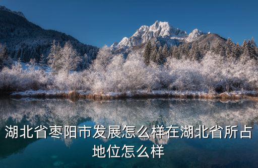 湖北省棗陽市發(fā)展怎么樣在湖北省所占地位怎么樣