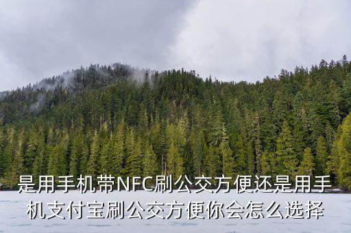 襄陽公交怎么用手機刷,如何用手機刷公交或者地鐵