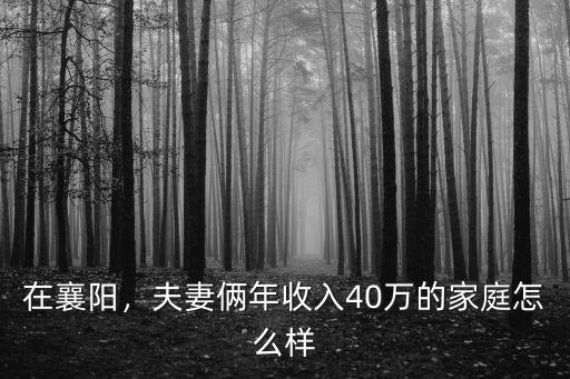 小兩口在襄陽的生活怎么樣,小兩口生活在襄陽很拮據