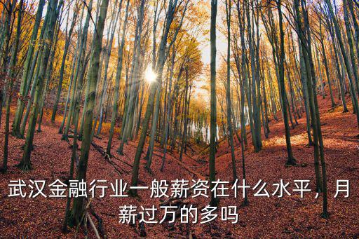 武漢金融行業一般薪資在什么水平，月薪過萬的多嗎