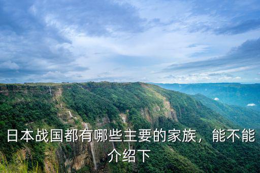 日本戰國都有哪些主要的家族，能不能介紹下