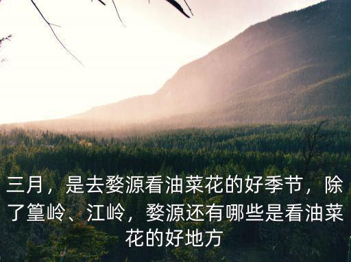 宜賓在哪里去看油菜花,是去婺源看油菜花的好季節