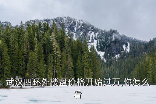 武漢四環外樓盤價格開始過萬,你怎么看