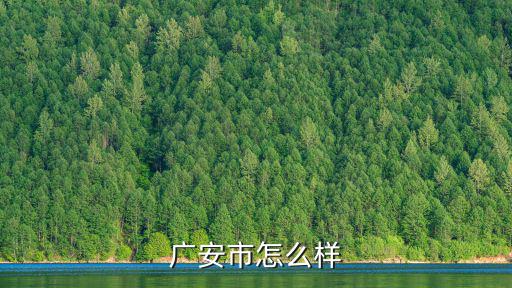 四川廣安市哪里有小妹,廣安哪里有好吃的