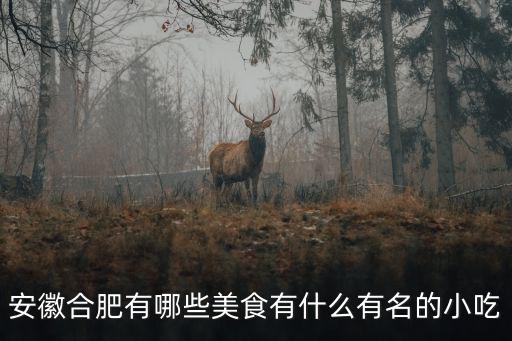 安徽合肥有哪些美食有什么有名的小吃