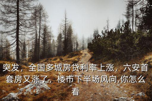 六安首套房貨款利率多少,六安首套房又漲了