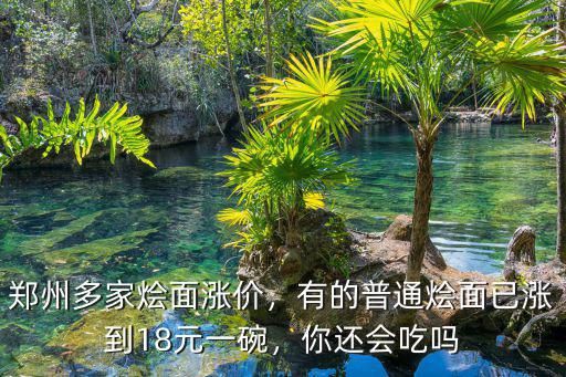 鄭州燴面最貴多少錢一碗,一碗燴面88元