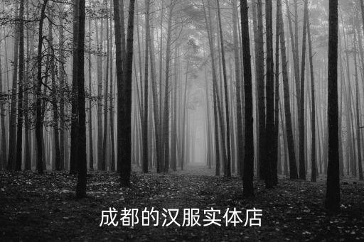 成都的漢服實(shí)體店