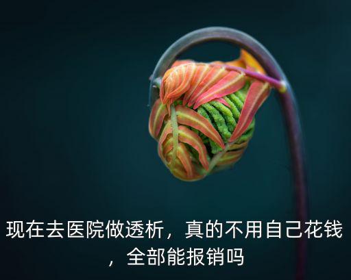 現在去醫院做透析，真的不用自己花錢，全部能報銷嗎