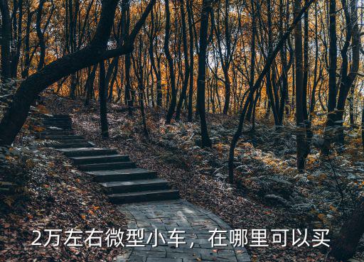 2萬左右微型小車，在哪里可以買