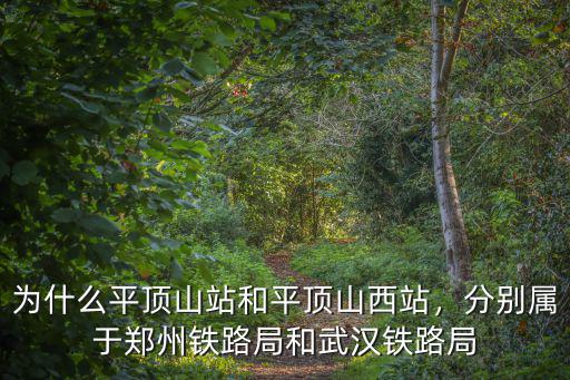 平頂山火車站電話是多少,為什么平頂山站和平頂山西站